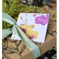 Growing Paper Orchid Mini Card